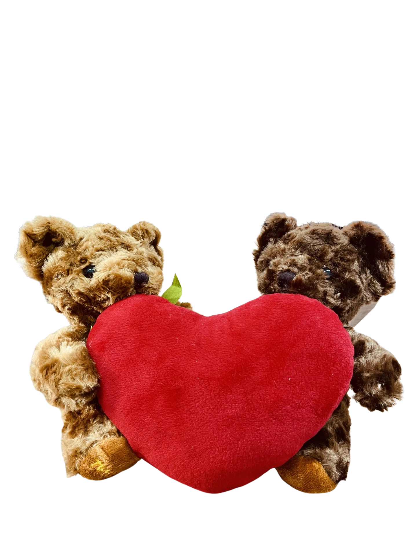 Peluche duo avec coussin en cœur